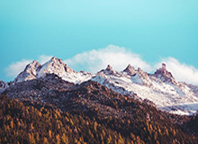 kaiyun体育-沃克生涯新高41分9记三分 老鹰主场击败魔术